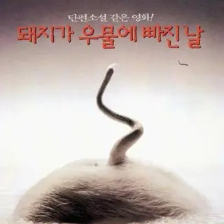 The Day a Pig Fell into the Well