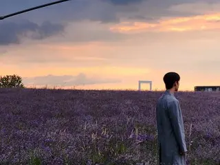 Nam diễn viên Kim Soo Hyun bên cánh đồng hoa oải hương trong cảnh cuối phim "Nữ hoàng nước mắt"...