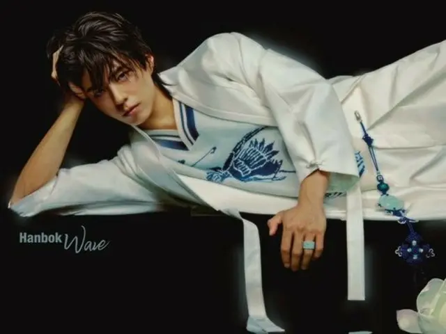 V của BTS bày tỏ tình cảm với bài đăng của Park BoGum mặc hanbok kèm biểu tượng cảm xúc trái tim