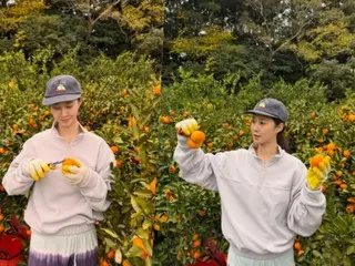 Kwon Yuri sống ở hai nơi: đảo Jeju và Seoul... Hôm nay anh ấy đang thu hoạch quýt. "Tôi là một nông dân trẻ."